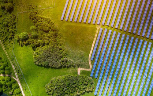 White Paper: Digitalize to Decarbonize
