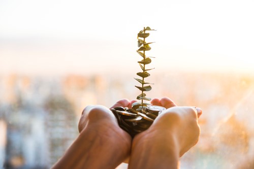 Thumbnail for Patience for Success